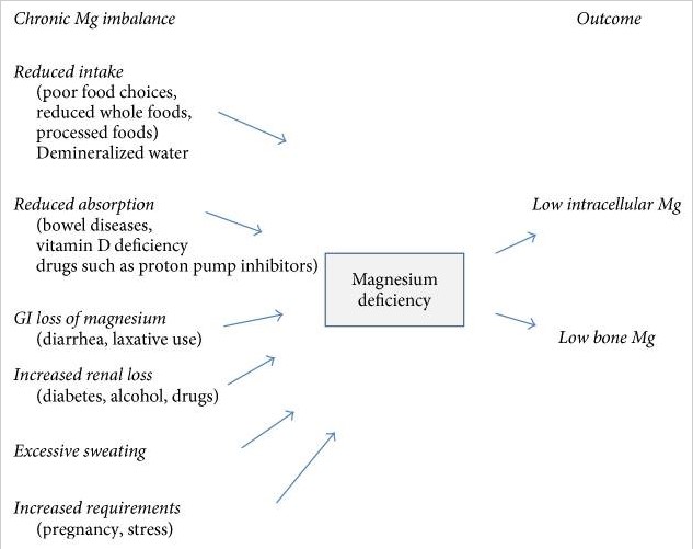 magnesium chart